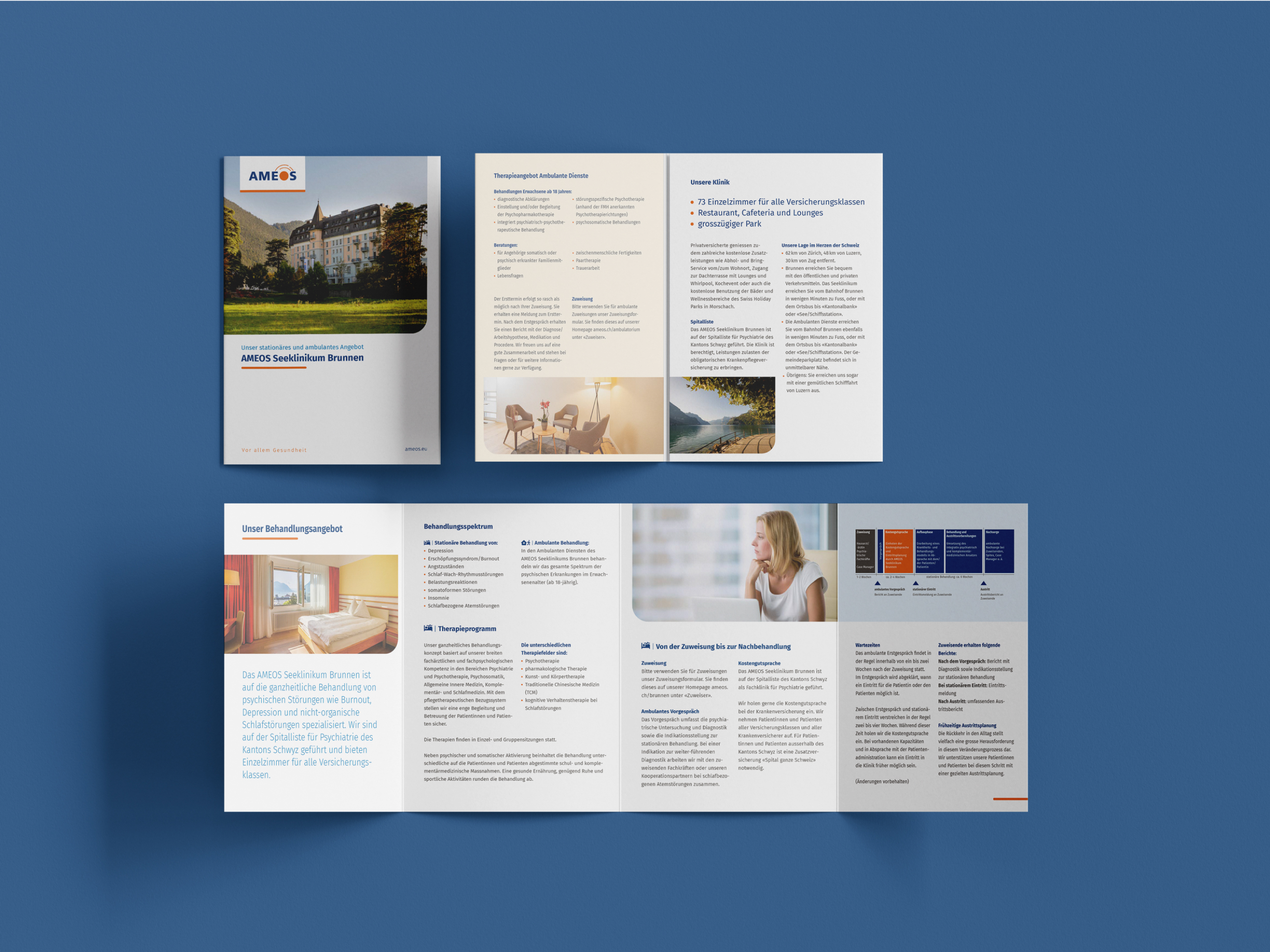 Ameo Flyer Brunnen Schweiz