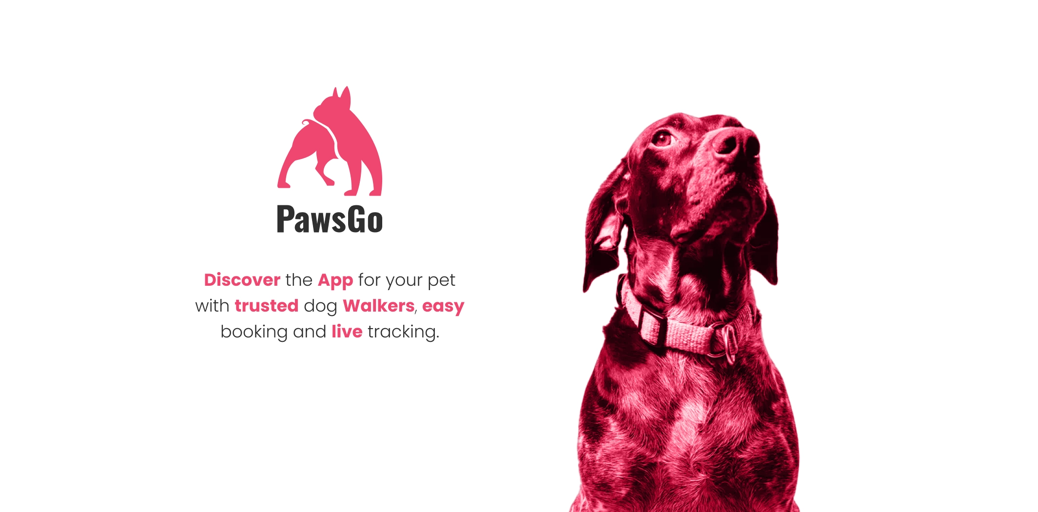 PawsGo mobile product and visual identity presentation