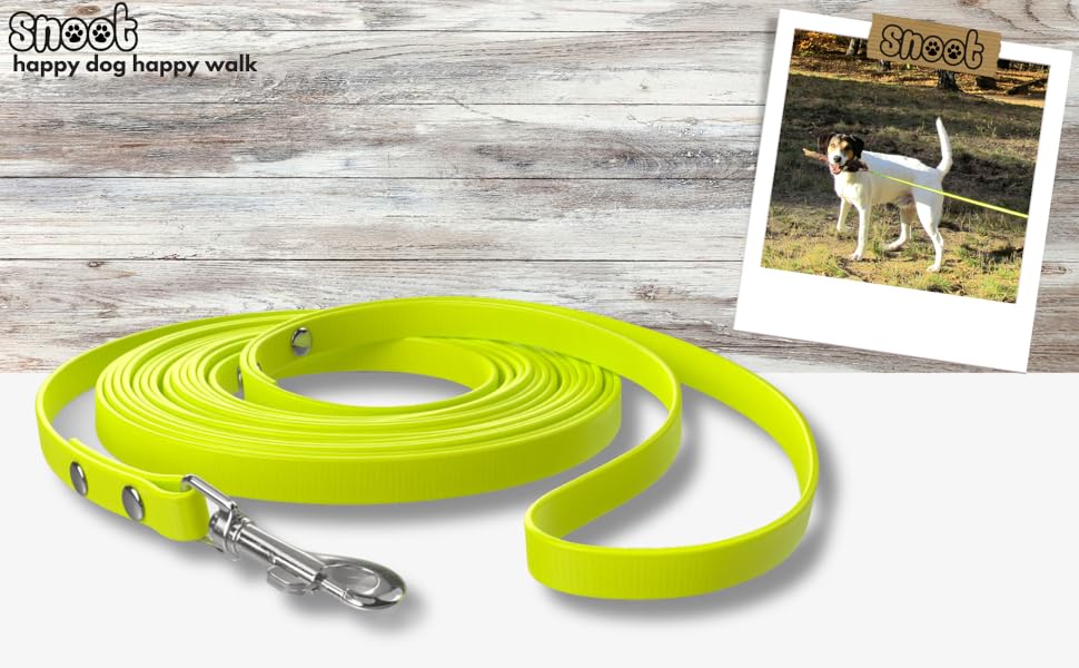 SNOOT dog leash advertising variation